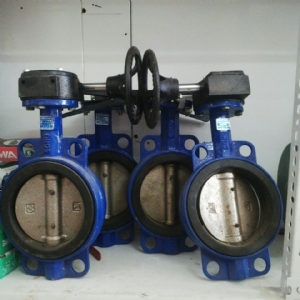 VAN BƯỚM TAY GẠT ARV DN65