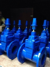 Van Cổng Ty Chìm ARV DN1200