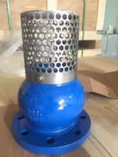 Van hút - rọ bơm AUT-DN300