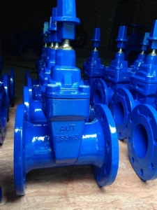 Van cổng ty chìm AUT-BS5163-0050