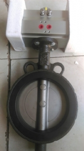 VAN BƯỚM ĐIỀU KHIỂN ĐIÊN HTD125 DN250