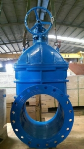 Van Cổng Ty Chìm ARV DN350