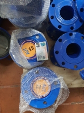 Van 1 chiều lá lật AUT-BS5153-0100